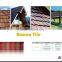 black Stone coated mental roofing tiles