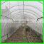 Large Size and Multi-Span Agricultural Greenhouses Type Green House Anti Insect Netting
