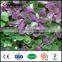 outdoor artificial topiaries plastic ivy vines leafs for decorations
