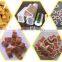 Double Color Pet Treats Processing Line/Pet chewing machine