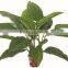 artificial 10-90cm bush/ fern/ grass/ decoration
