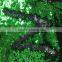 wholesale reversible sequin fabric