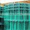 Manufacture supply holland wire mesh/chicken fence/fence mesh