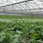Eco-Friendly Solar Powered Greenhouse for Saving Water Hydroponics