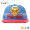 Cheap high quality funny snapback cap