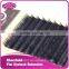 OEM matt natural flat soft C/D black 0.10/0.15 eyelash extension lash private lable