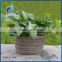 house decorative fiberglass clay textured flower planter pots