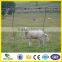 hanqing supply deer fence in 