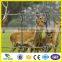 0.7m height with 5 wires galvanized cattle wire mesh fence