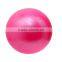 Customized Yoga Exercise Ball