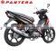 110CC Cheap New Design Engine Motorcycle