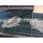 Welded Mesh Type and Welded Weave Style 6x6 reinforcing welded wire mesh fence