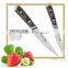 Casting Color Wood Handle Big High Quality Steak Knife Set