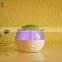 Fantasy Anion Humidifier / Ultrasonic Mist Maker / Mist Humidifier