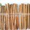 15cm natural bio cinnamon stick