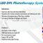 Newest professional PDT LED Light Therapy Photon Led Light Therapy Machine