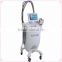 Factory direct supply vertical cooltech fat freezing machine