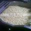 Delicious IQF/frozen french fries Egypt origin