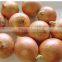 2015 fresh onions with great price