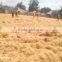 coir net