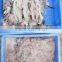 fish deboner /fish meat deboning processing machine /meat bone separator