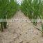 types of prilled urea fertilizer price per ton