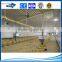 cheap prefabricated poultry house in algeria