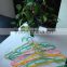 2017 Wholesale Green Color Pp Plastic Hangers For Clothes