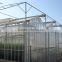 Venlo Type Large Glass Agricultural Greenhouse For Vegetable Growing