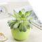 Mini Round Plastic Plant Flower Pot Home Office Decor Planter