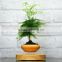 Artificial wooden effect magnetic suspension levitating plant pot