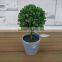 Table Decorative Mini Potted Boxwood Leaves Bonsai