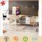Modern Executive Office Desk