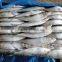 Sardinops Melanosticta Seafood Frozen Sardine
