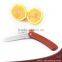 Wood Coating Plastic Handle Multifunction Stainless Steel Folding Paring Knife,Kitchen Knife