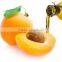 Apricoat Oil