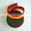 Rainbow polypropylene webbing