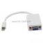 Mini DisplayPort to VGA Converter (for Mac ) with wholesale price