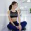 Fitness Yoga Gym Wear Women Ladies Wholesale Sports Bra