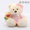 custom 20cm small pink plush bear bouquet teddy