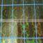 Custom Golden Sticker Holographic Laser Sticker