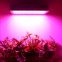 Full Spectrum LED Grow Lights 1000watts for Plant Factory City Farming