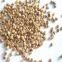 High quality Walnut shell sand / crushed walnut shell 10# 20# in abrasive