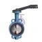 Pneumatic Wafer Butterfly Valve