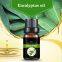 Factory Wholesale  Eucalyptus Essential Oil Pure Natural oil