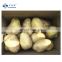 Sinocharm  Frozen vegetables  Insect-free hygiene and high quality IQF  9*9 mm Natural length Potato Strips Frozen Potato