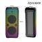 ZQS10208 super power 50W wireless 10-inch*2  deep bass OEM party speaker with colorful lights
