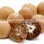 Betel nut/Natural Raw Dried Betel Nuts/ betel areca nut/vietnam betel nut