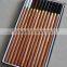 Mont Marte Coloured Charcoal Pencils 12pce