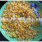 Corn Flakes Production Plant
